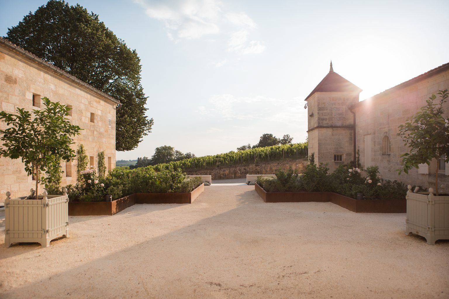 Visites - Château Franc Mayne - St-Emillion Grand Cru Classé - Château Franc Mayne